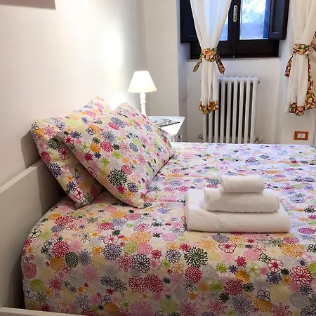 Apartment Lady's