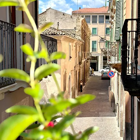 Lady's Sulmona